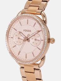 Fossil Tailor