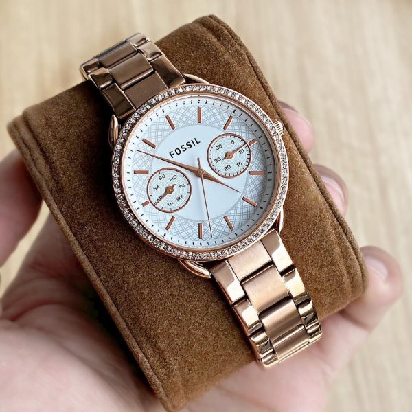 Fossil Tailor