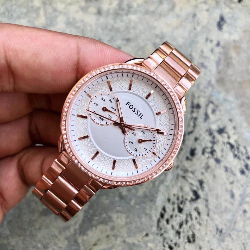 Fossil Tailor